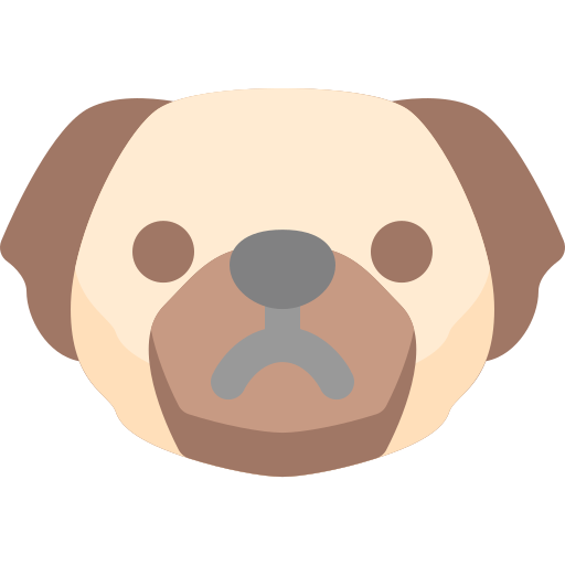 pug